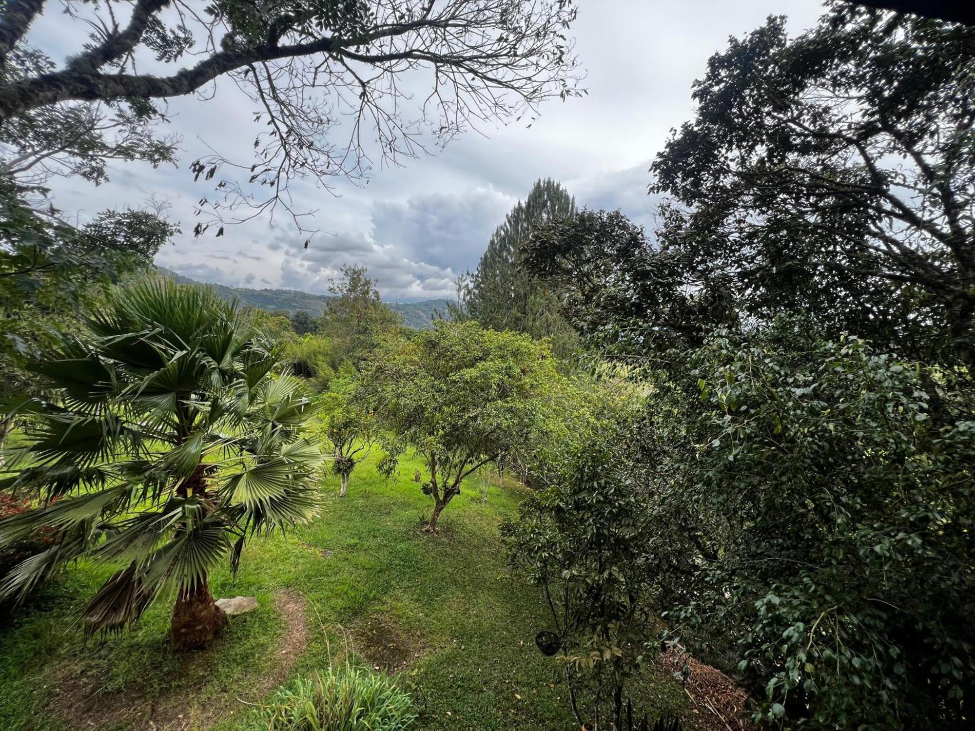 Finca El Cielo San Agustín 외부 사진