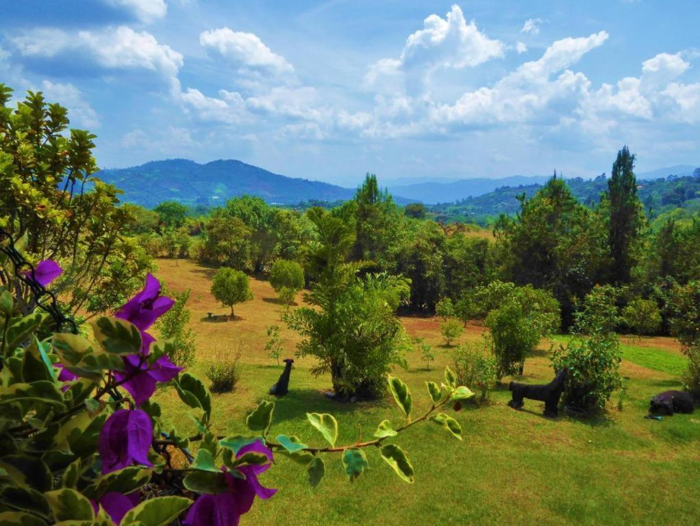 Finca El Cielo San Agustín 외부 사진