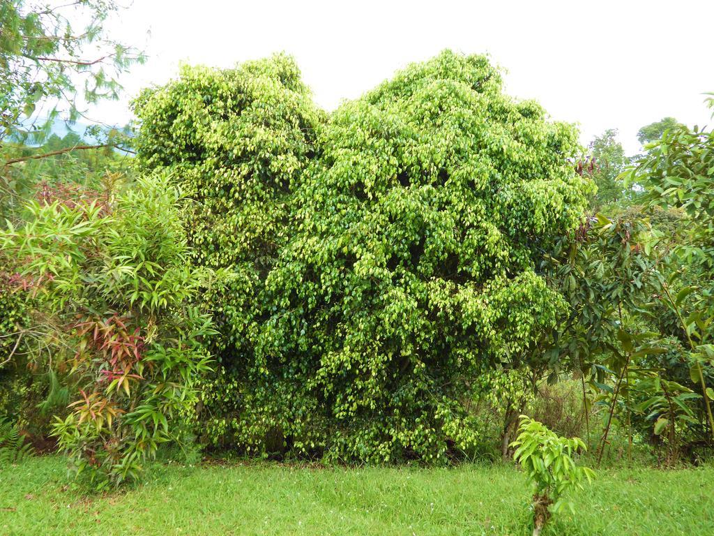 Finca El Cielo San Agustín 외부 사진