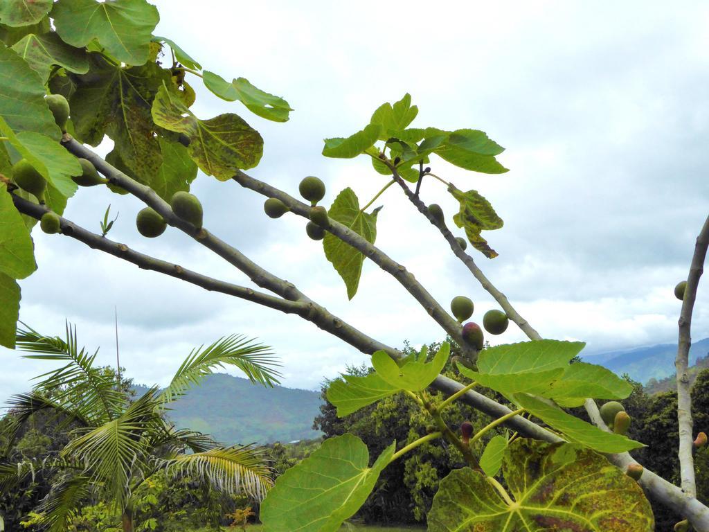 Finca El Cielo San Agustín 외부 사진